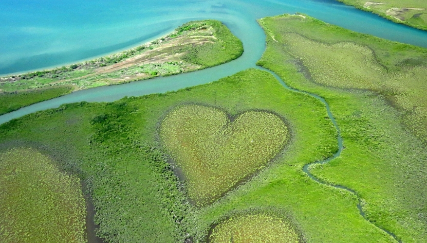 Heart of Voh